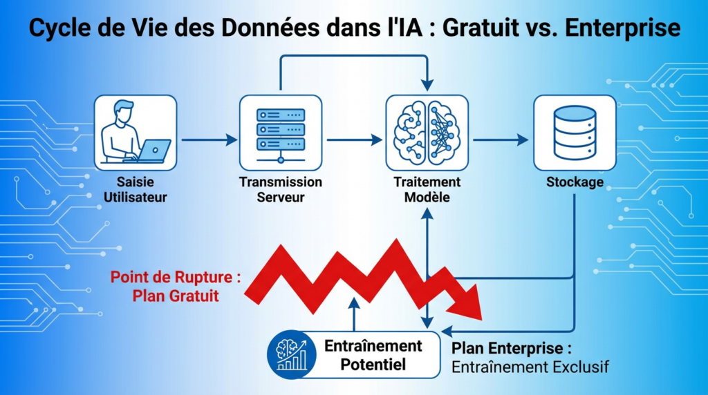 Cycle de vie d'une donnée dans une IA générative — risques plans gratuits vs Enterprise